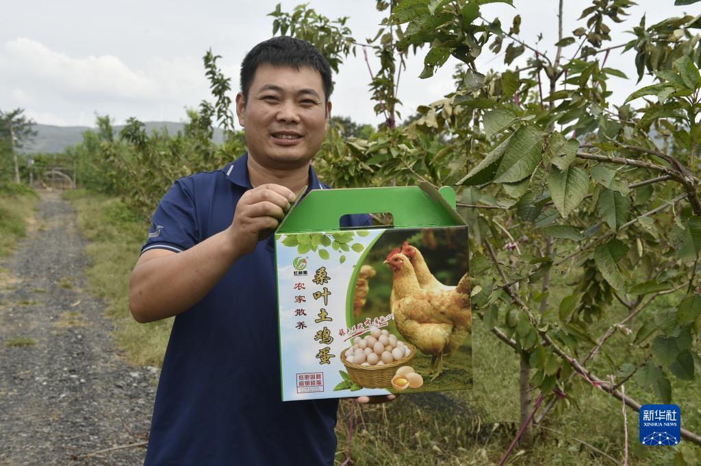 金博宝怎么注册